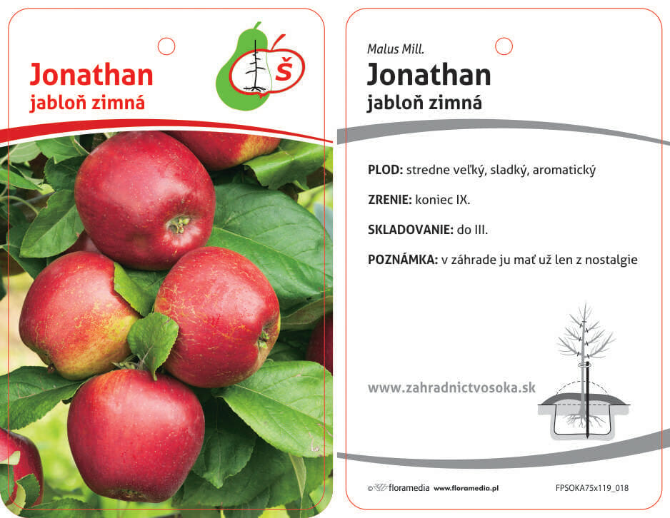 Jabloň zimná Jonathan