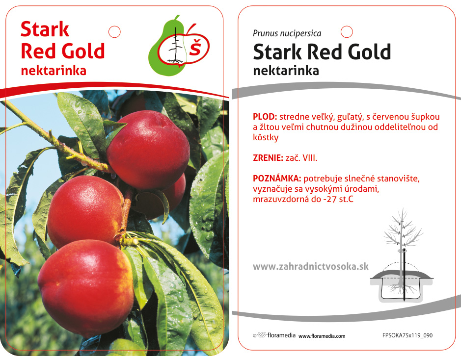 Nektarinka Stark Red Gold